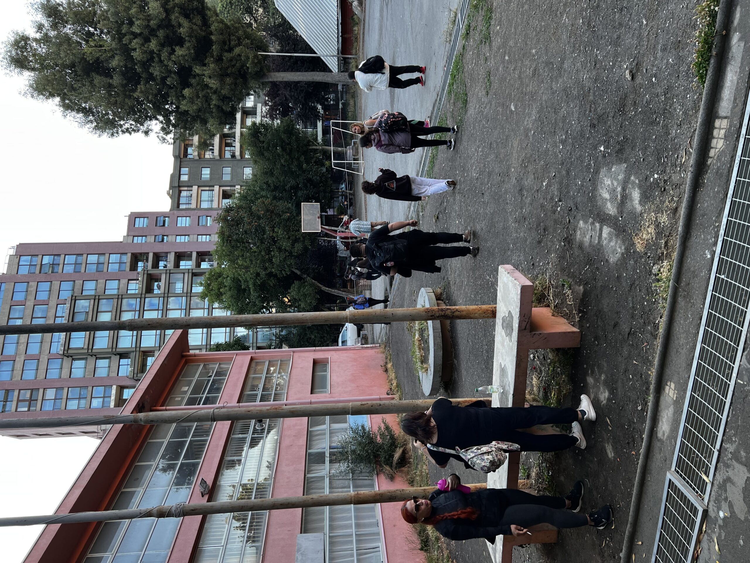 Salida a Terreno